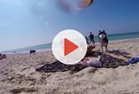 Day on Palmachim Beach - Dog